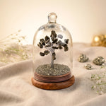 Pyrite Dome Tree 28 reviews