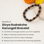 Divya Rudraksha Karungali Bracelet 8mm - Image 3