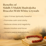 Kashi Siddh 5 Mukhi Rudraksha Bracelet With White Crystals - Image 2