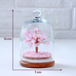 Love Attraction Dome Tree - Image 3