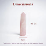 Love Attraction Tower - Image 4