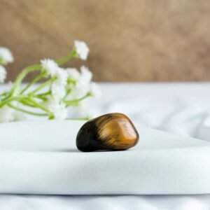 Tiger Eye Tumble 1024 reviews