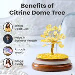 Citrine Dome Tree - Image 3